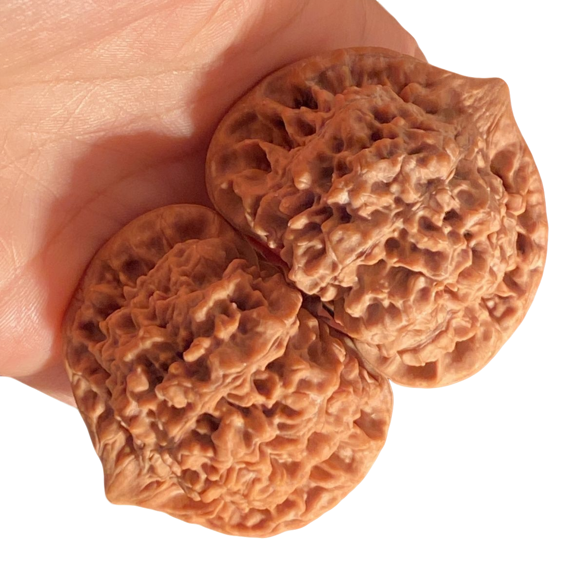 麒麟纹官帽苹果园白狮子磨盘狮子头文玩核桃手把件用链接