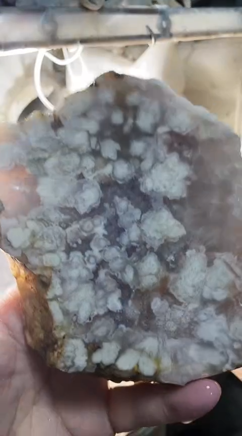 定制玛瑙吖*吖5455镯4002202