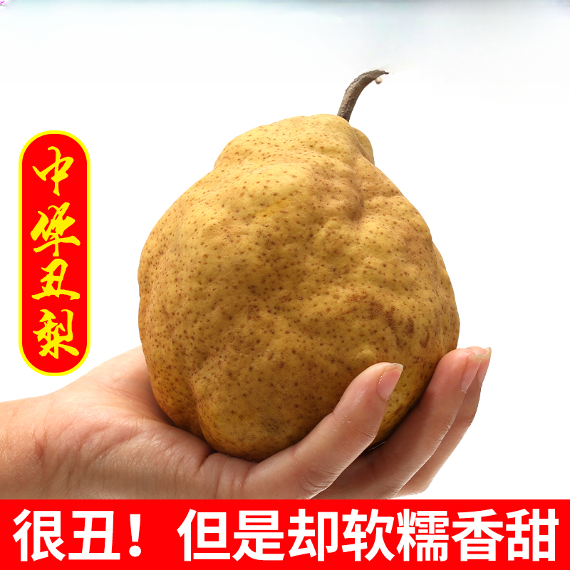 【邮政助农】中华丑梨新鲜当季水果软糯多汁香甜可口山东特产软梨