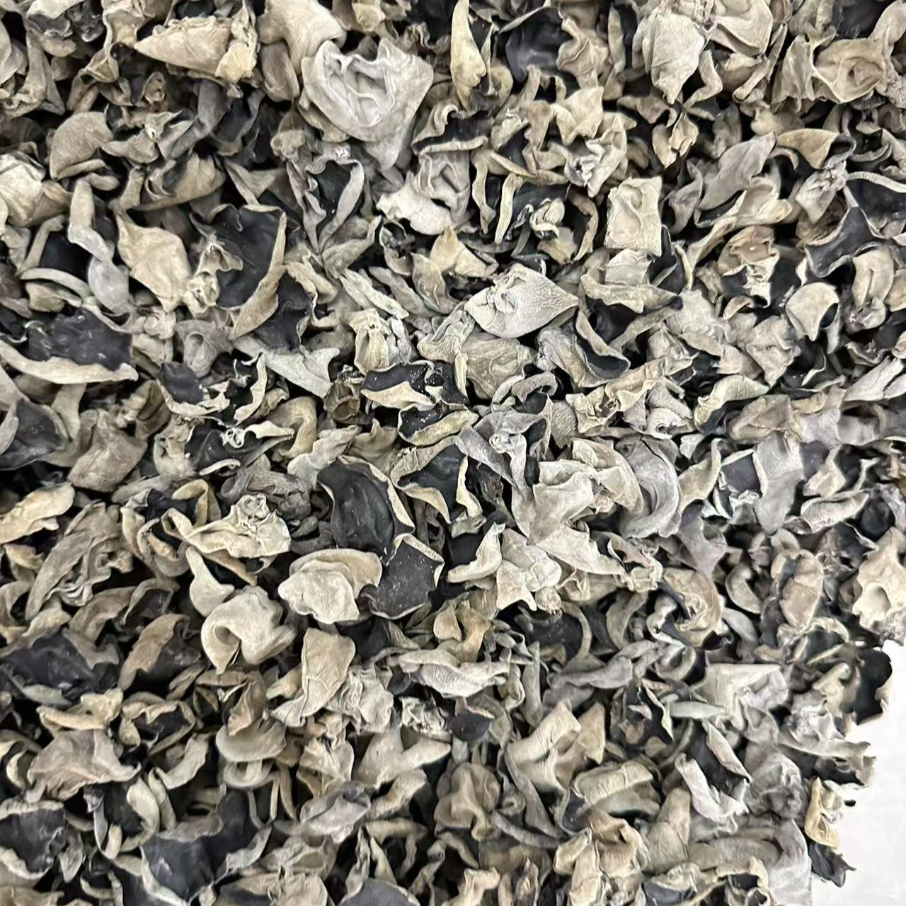 云耳 小朵厚肉 无根 凉拌炒蒸