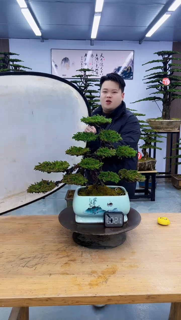 以实际为准00000000