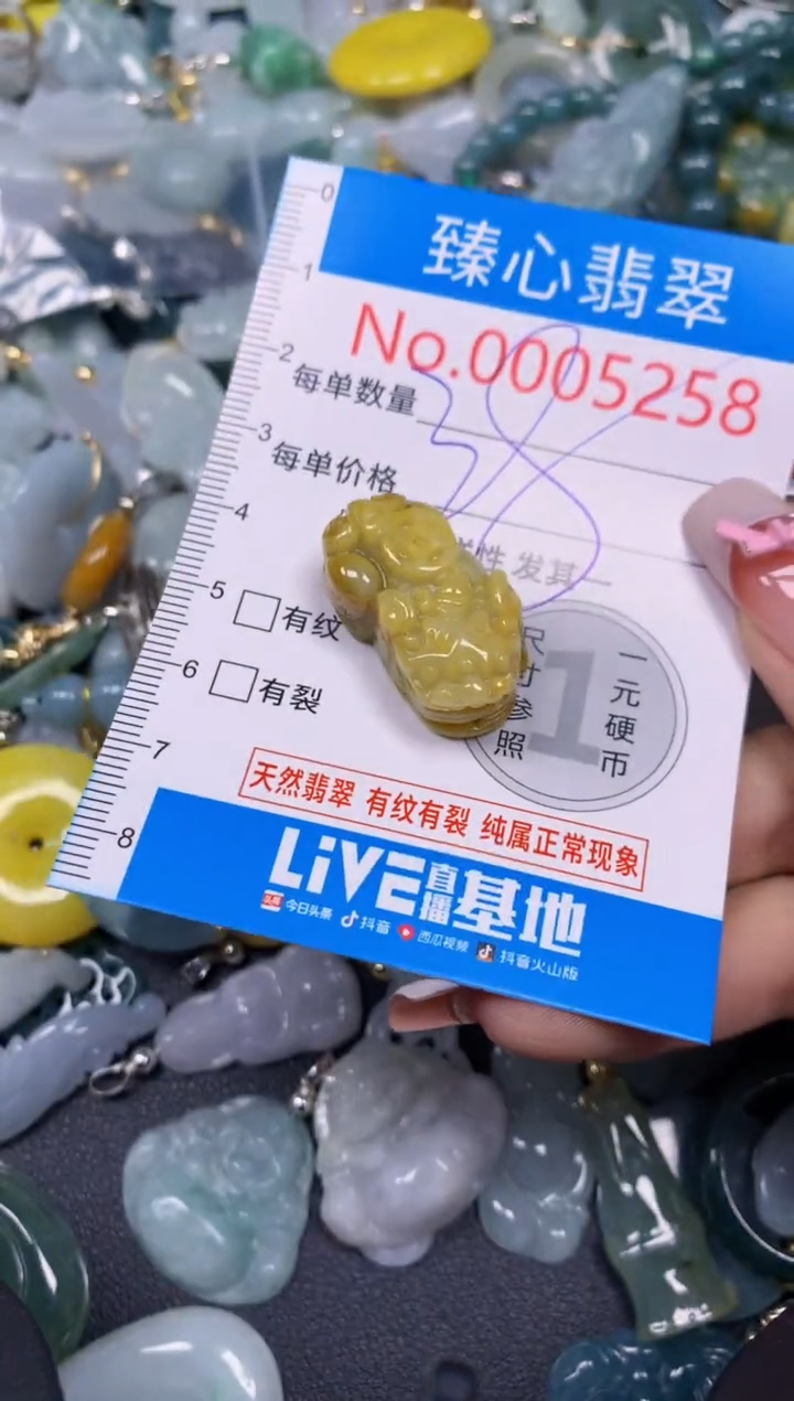 【闪购商品】翡翠颈饰未镶嵌含绳0005258