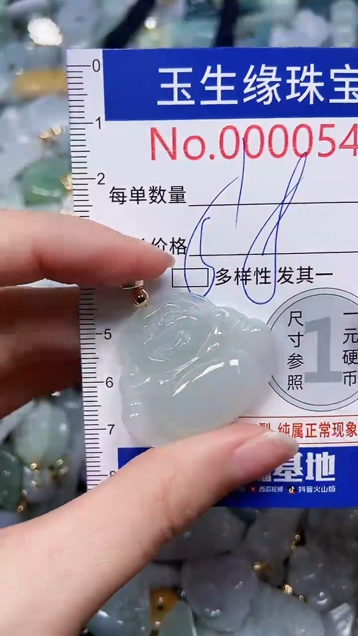 【闪购商品】翡翠颈饰未镶嵌闪购0000547