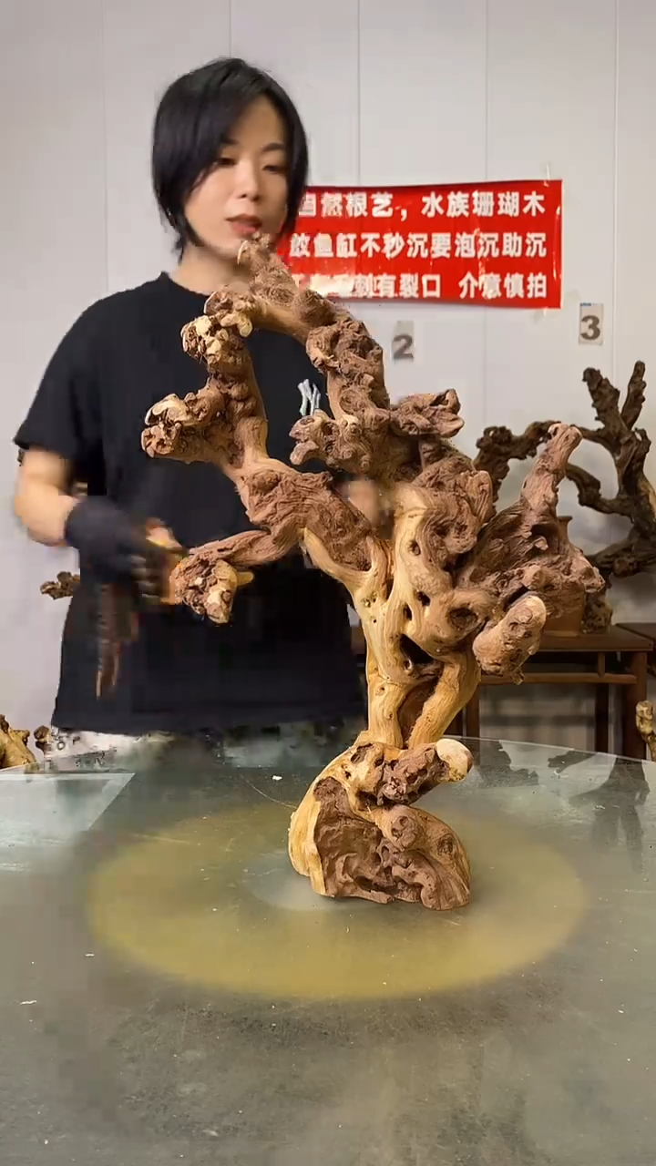 香榧木裕****店金丝红木   羊蹄甲