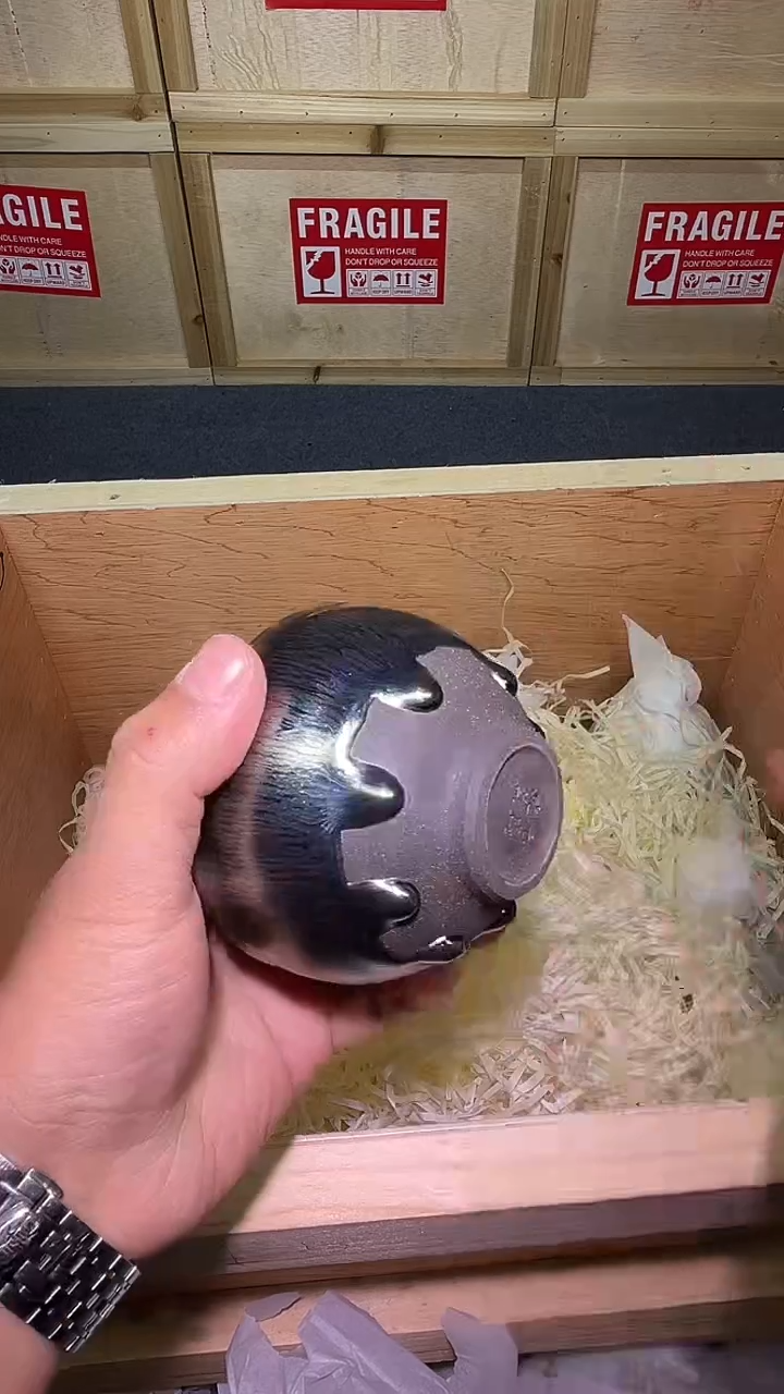 茶盏银毫将军主人杯精选