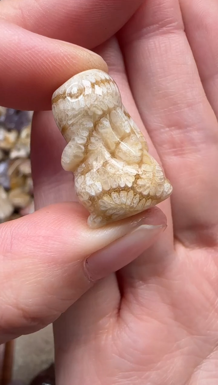 颈饰未镶嵌硅化珊瑚（珊瑚玉）902