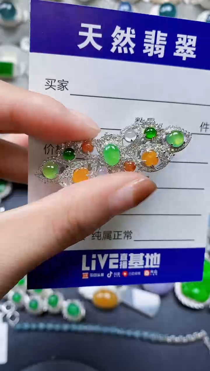 【闪购商品】翡翠颈饰银S925镶嵌0347