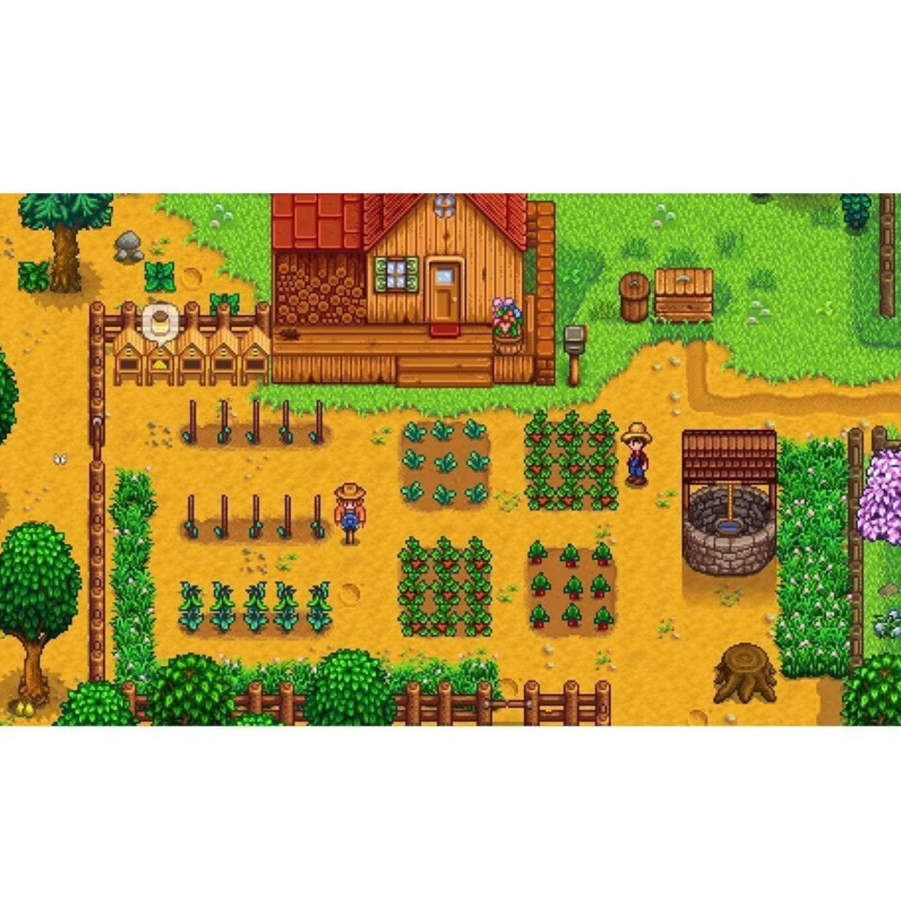 NS 游戏卡带 游戏软件 热门游戏卡带 养成系列