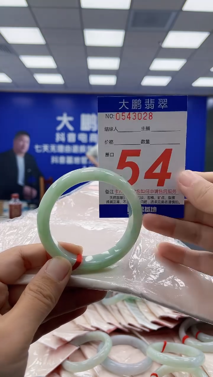 未镶嵌手镯翡翠 AAAAAAAAAA