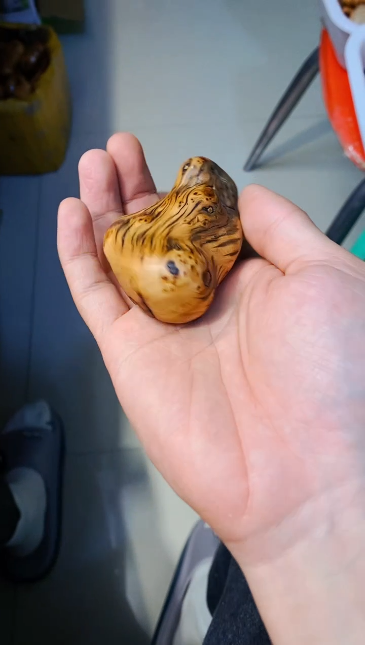 【闪购商品】柏木32崖柏崖柏崖柏崖柏