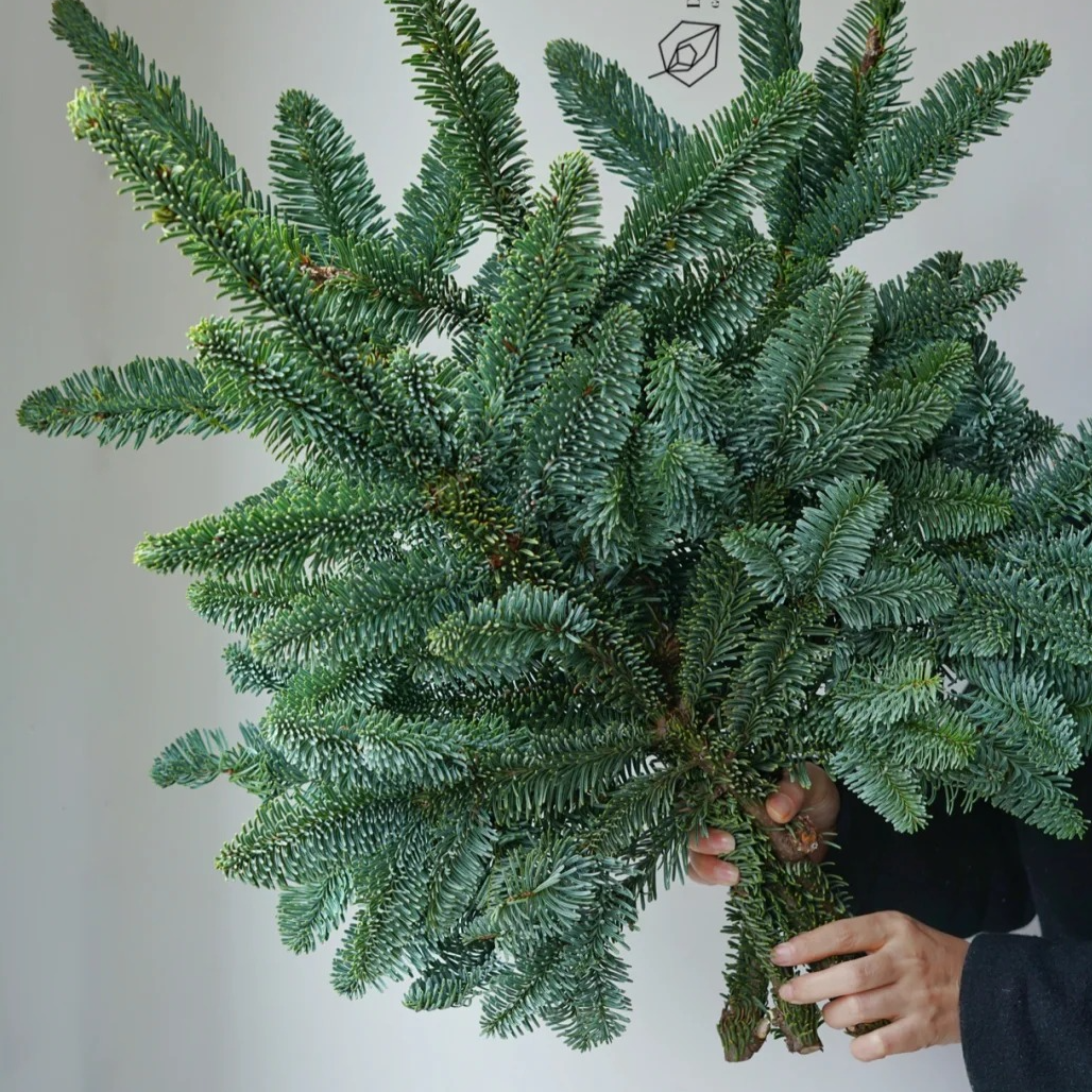 【诺贝松】秋冬氛围感拉满 一单包邮两单顺丰/德邦 圣诞花束