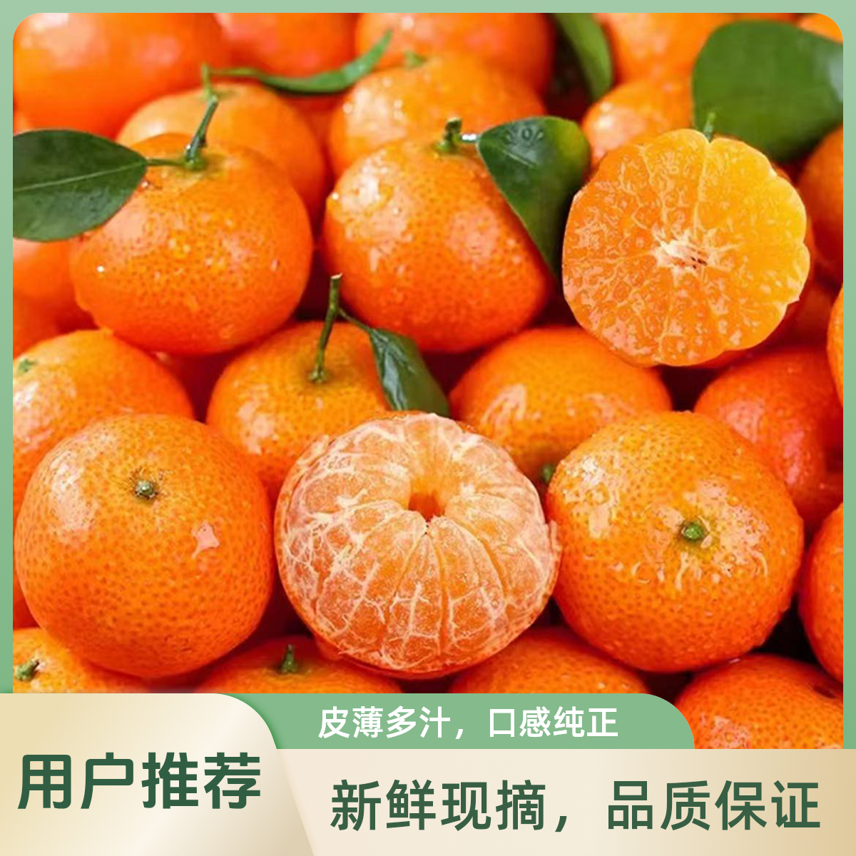 正宗广西砂糖桔含箱4斤新鲜水果沙糖橘子整箱30-40mm年货