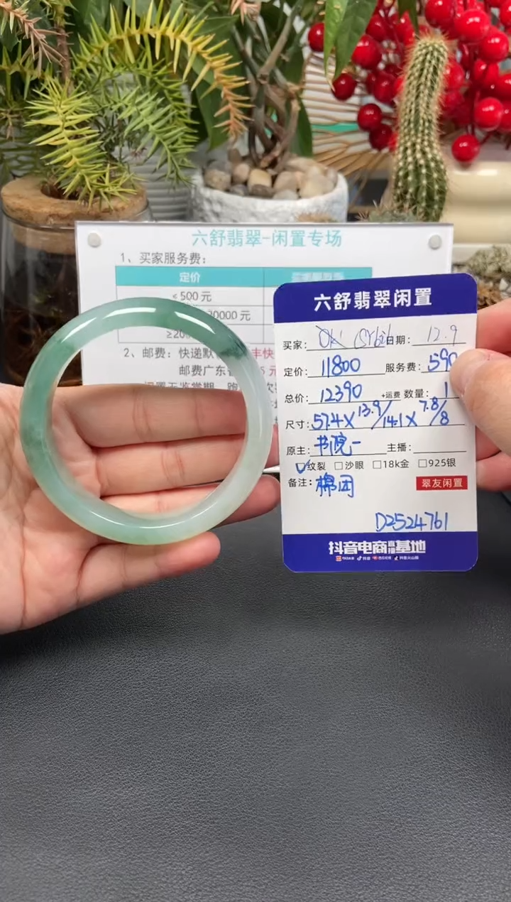 未镶嵌手镯翡翠S***lD2524761