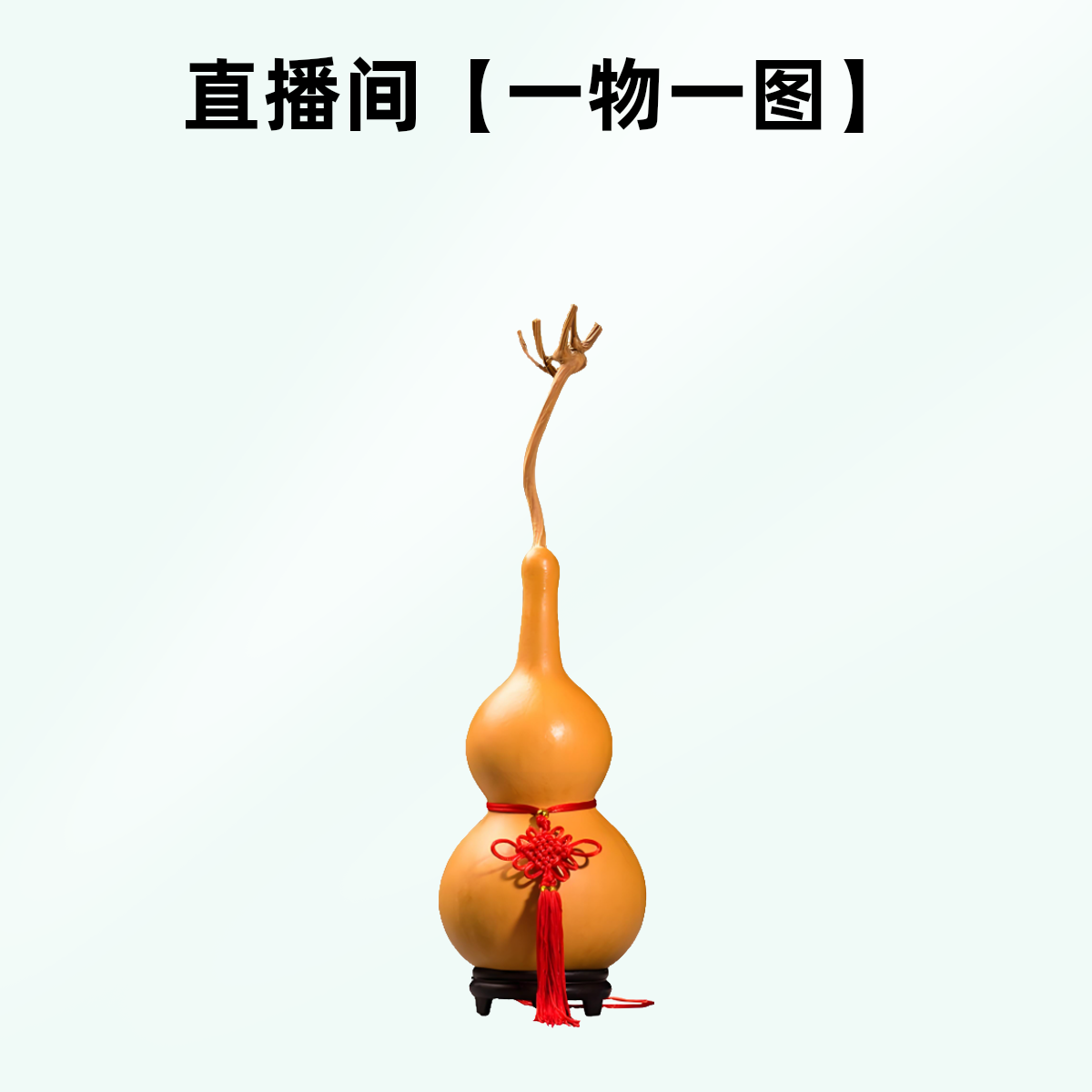 直播间文玩葫芦专拍链接（直播实物为准）