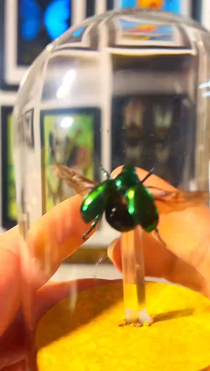 有机玻璃5155848488