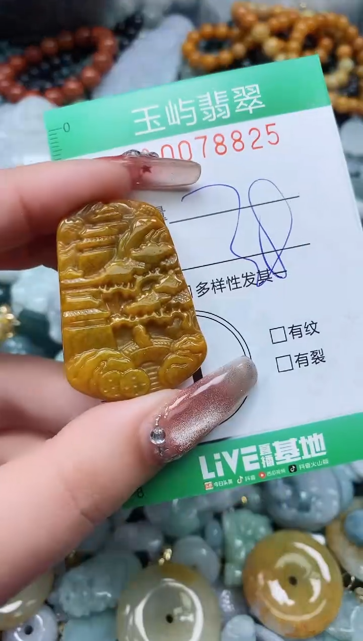 【闪购商品】翡翠颈饰未镶嵌闪购0078825
