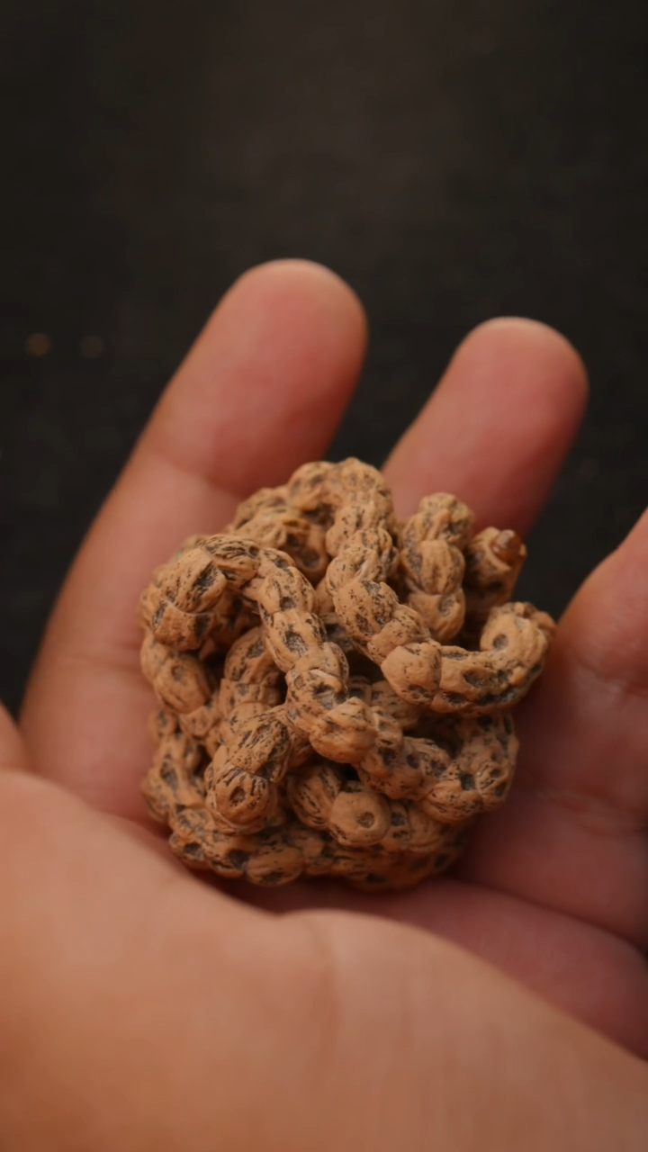 手串柏香籽/百香籽6