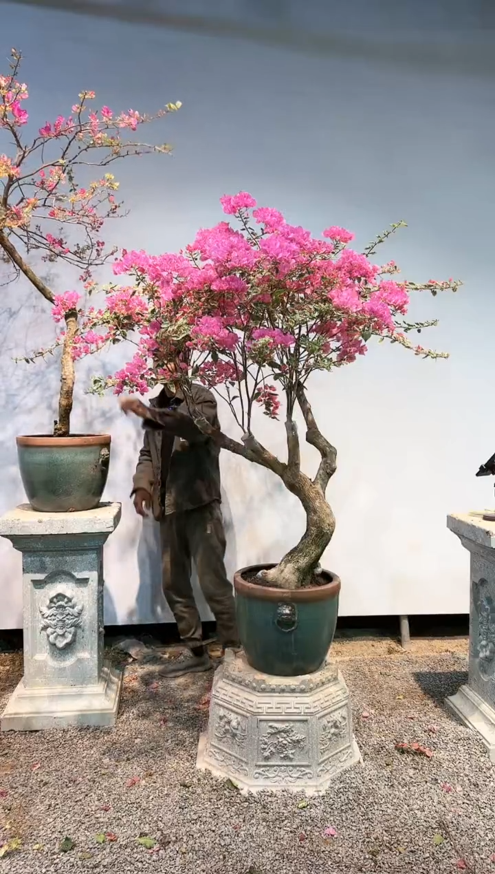 【闪购商品】AA920