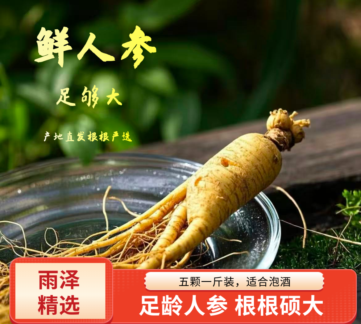 长白山新鲜人参特产单支150g 单支装