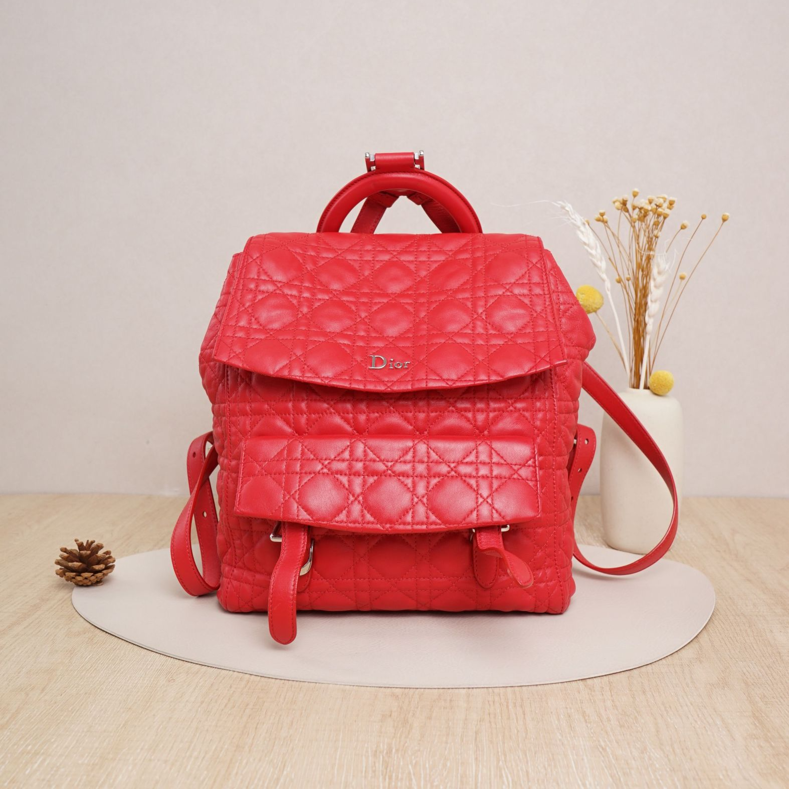 95新 DIOR/迪奥 迪奥双肩包红色羊皮/DS044136
