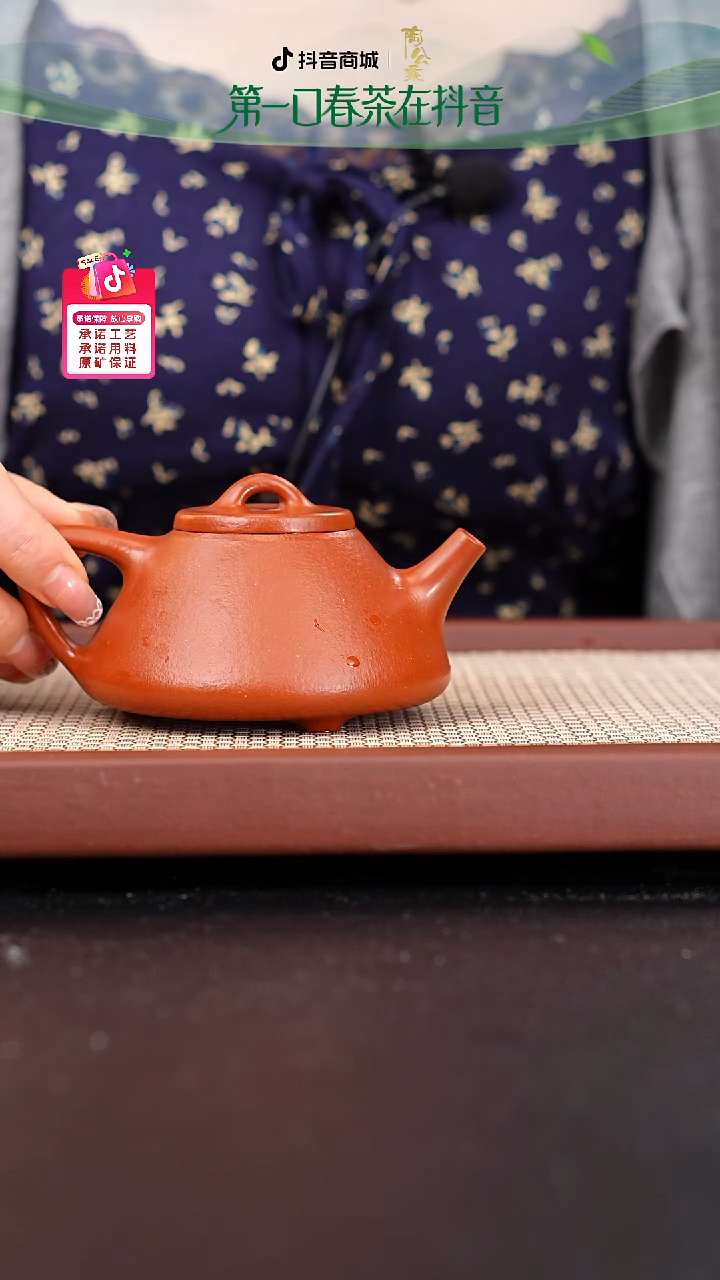 紫砂茶壶全手黄龙山朱泥子冶石瓢210c