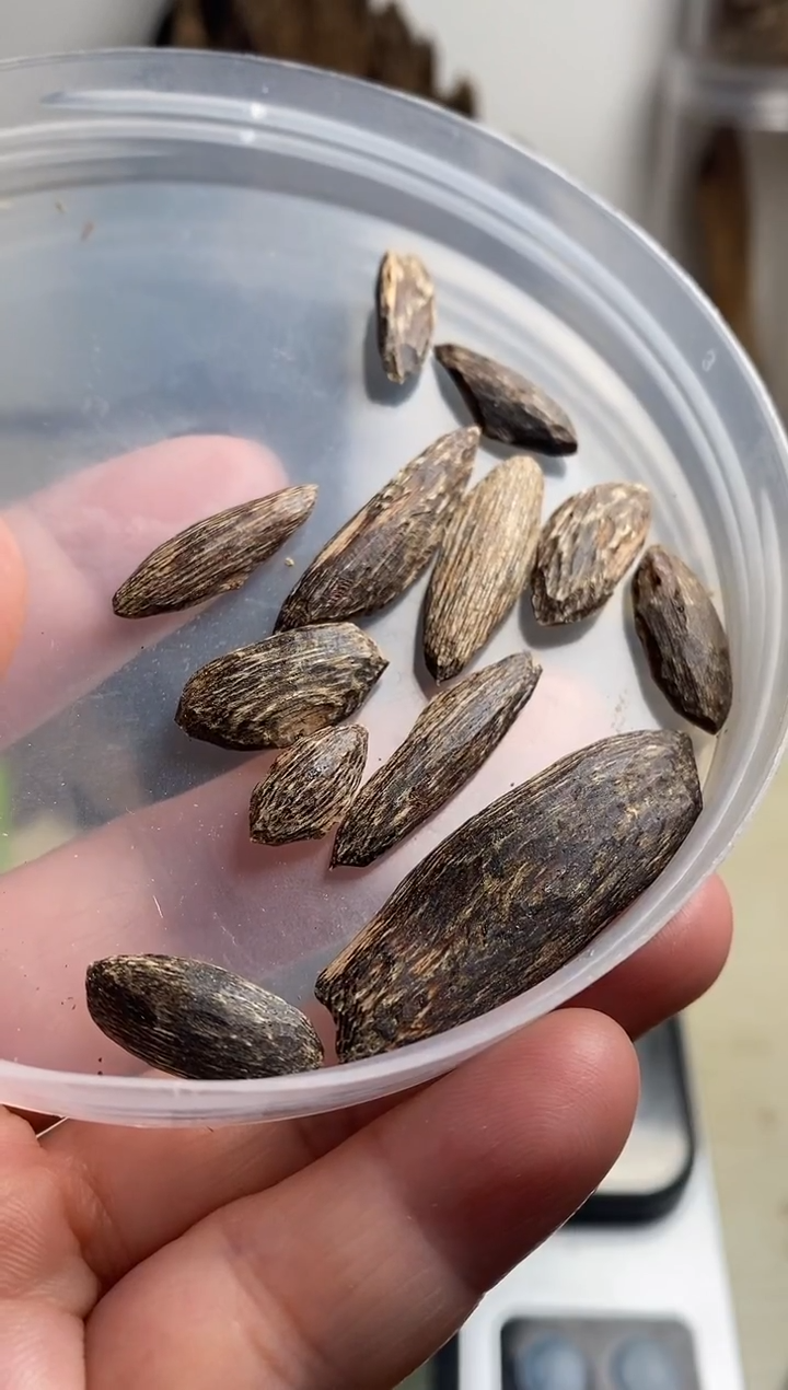 【闪购商品】沉香沉香碎屑海南沉香碎料3克