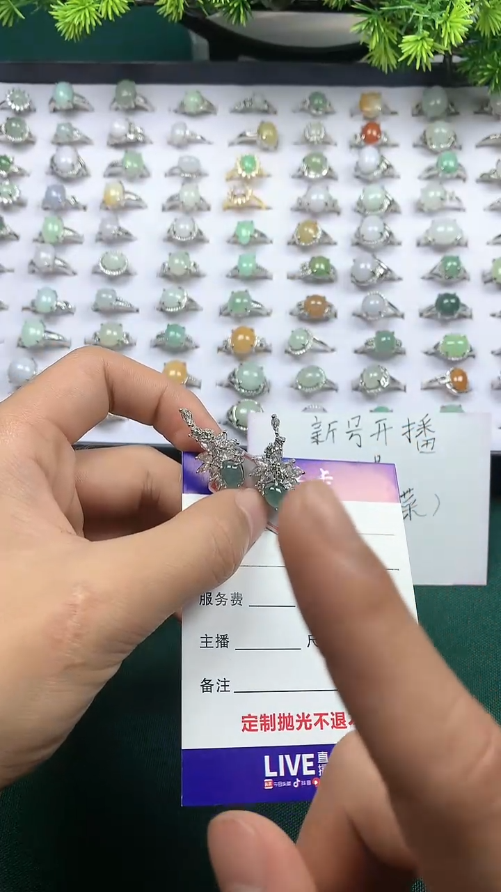 【闪购商品】翡翠颈饰合金翡翠耳坠一对