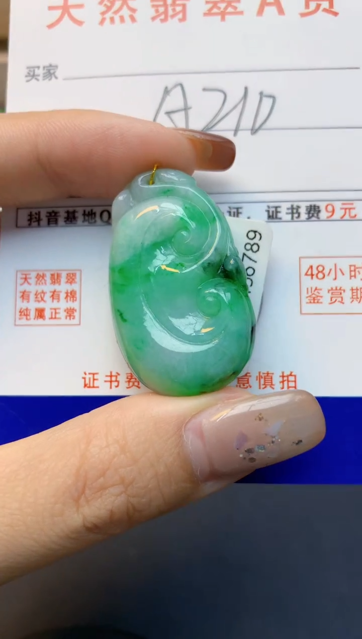 颈饰未镶嵌翡翠天然A货翡翠百元以上9元证书费自理