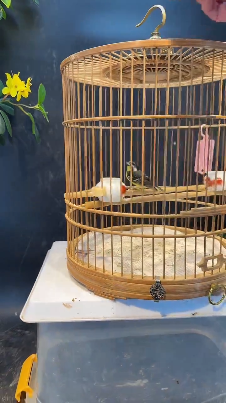 83号  点子养笼  0元起拍