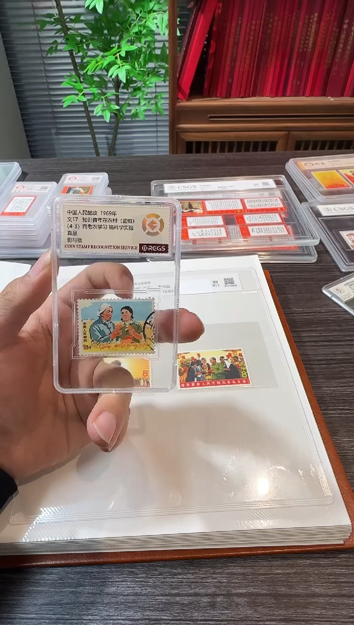 文17 老农盖 封装评级鉴定收藏