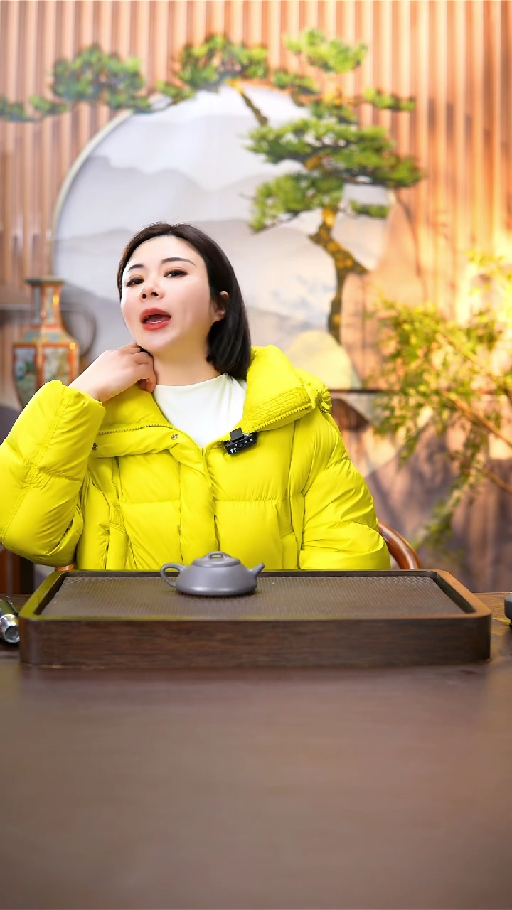 【闪购商品】紫砂茶壶原矿料紫砂壶