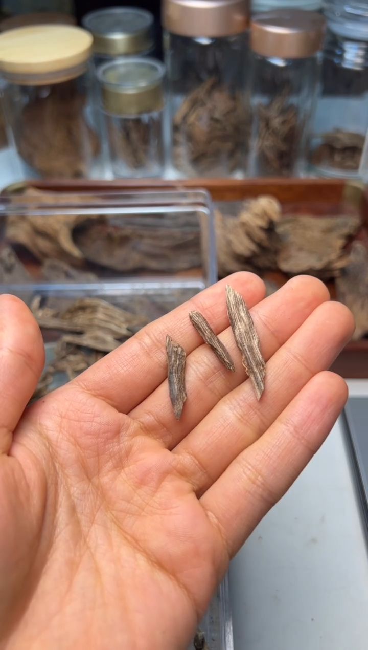 沉香柬埔寨戈公树心油1克