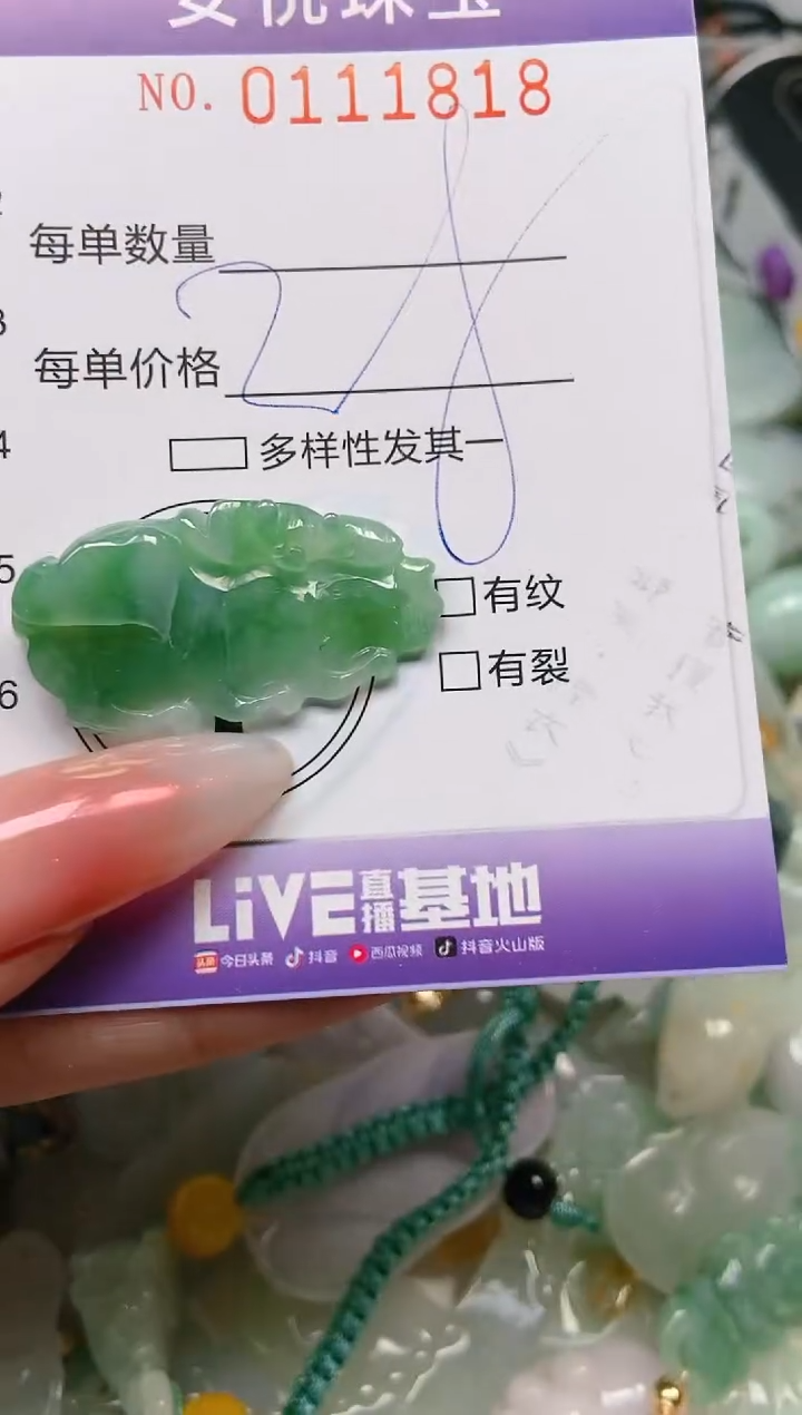【闪购商品】翡翠颈饰未镶嵌闪购0111818
