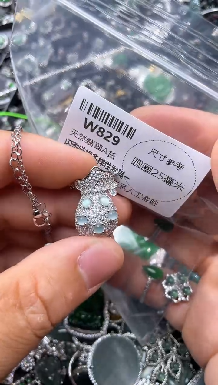 【闪购商品】翡翠颈饰未镶嵌W829项链