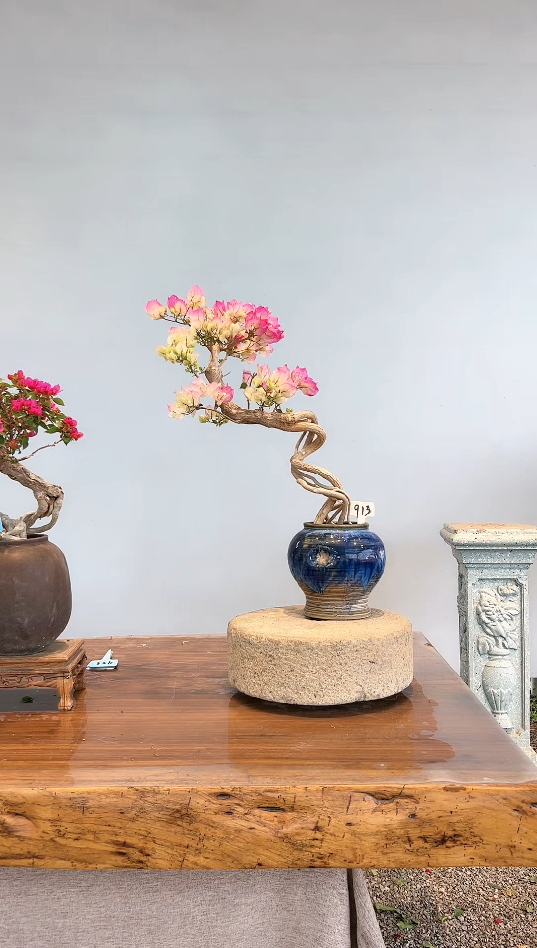 【闪购商品】AA913