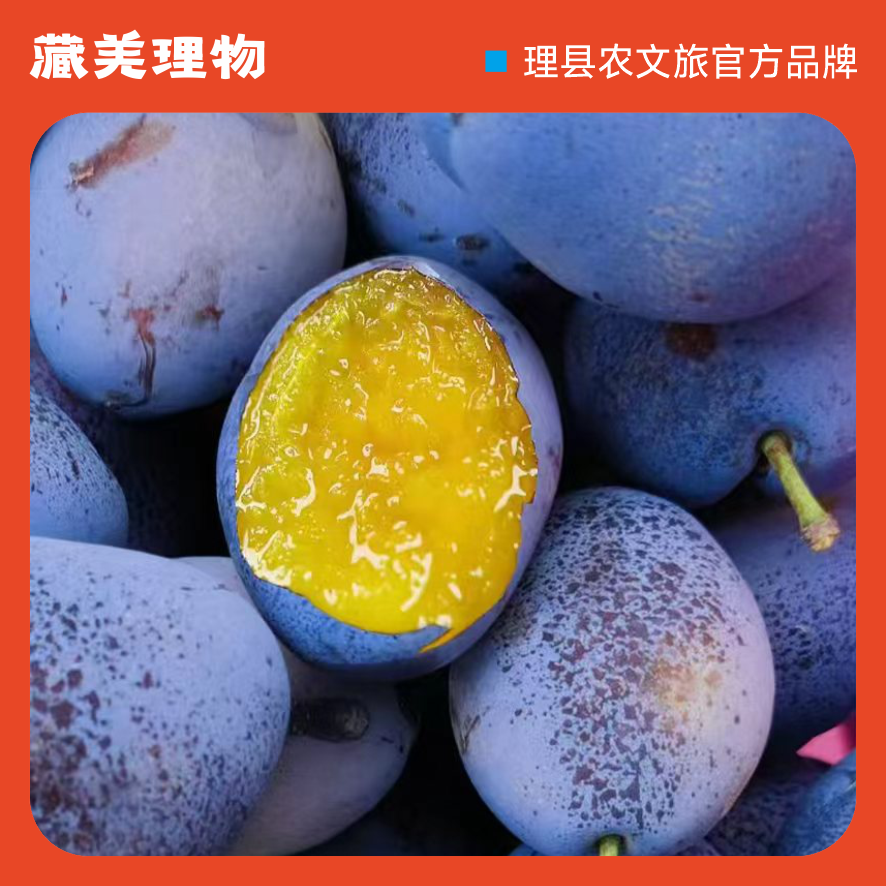【藏羌理物】阿坝州正宗高原水果西梅新鲜采摘产地直发