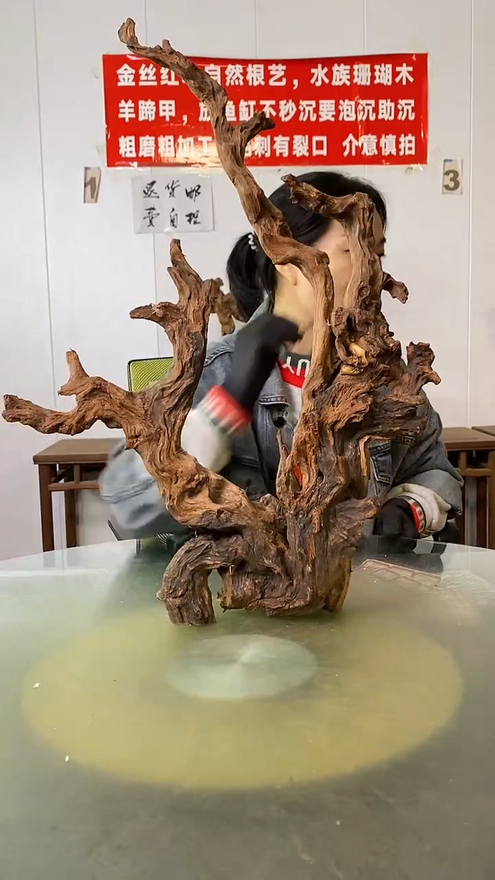 木瘾*、金丝红木 羊蹄甲