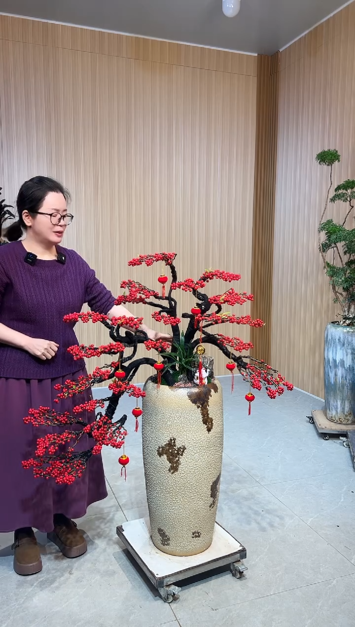 无花朵莎****姐北美冬青落地款