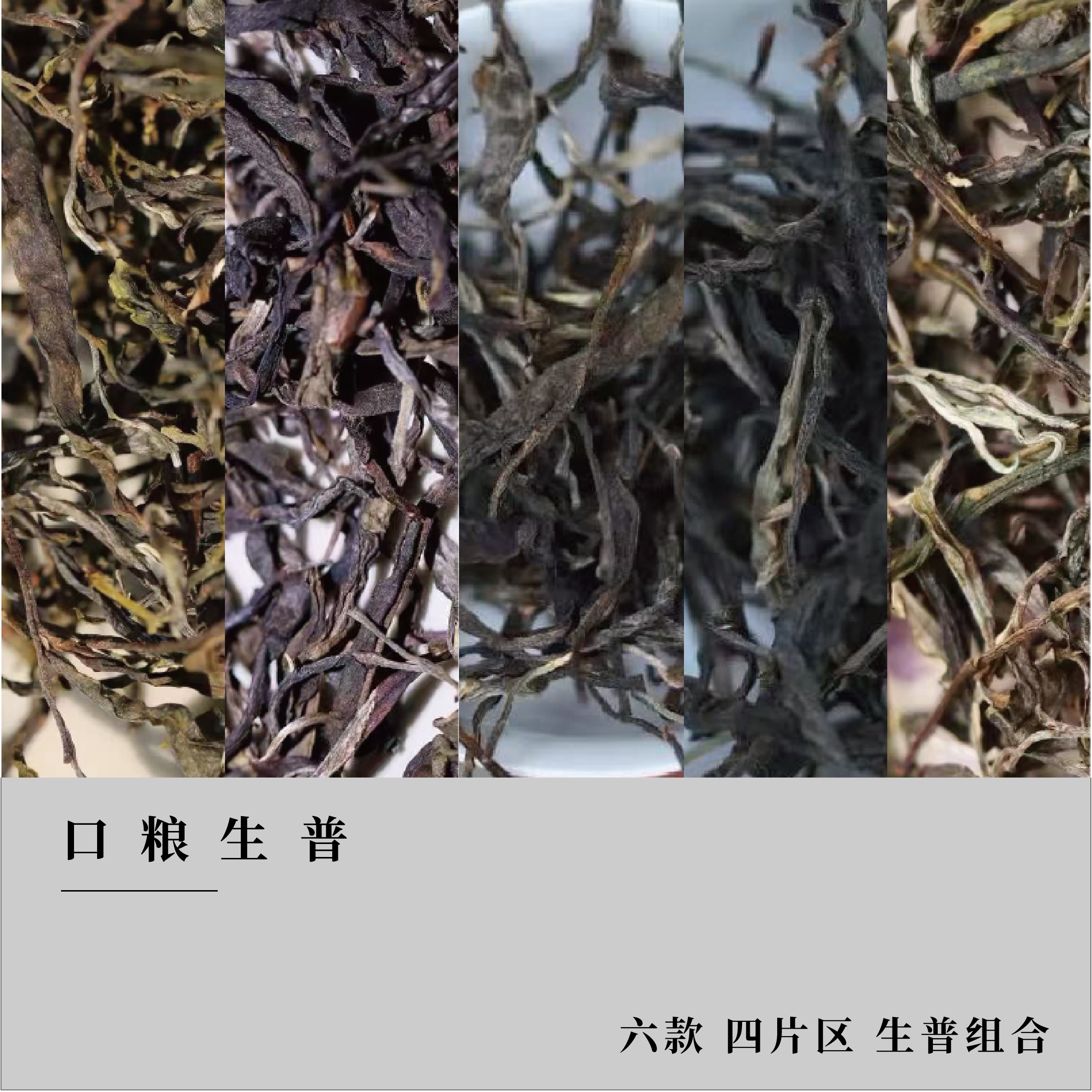 【生普组合装】云南普洱生茶 口粮茶生普系列组合装 匠蕴古树茶严选