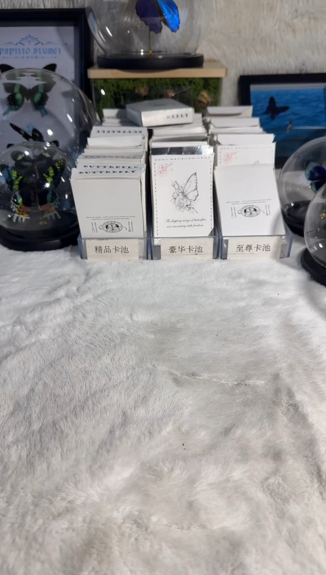 有机玻璃蓝带容精美蝴蝶相框微瑕掉粉