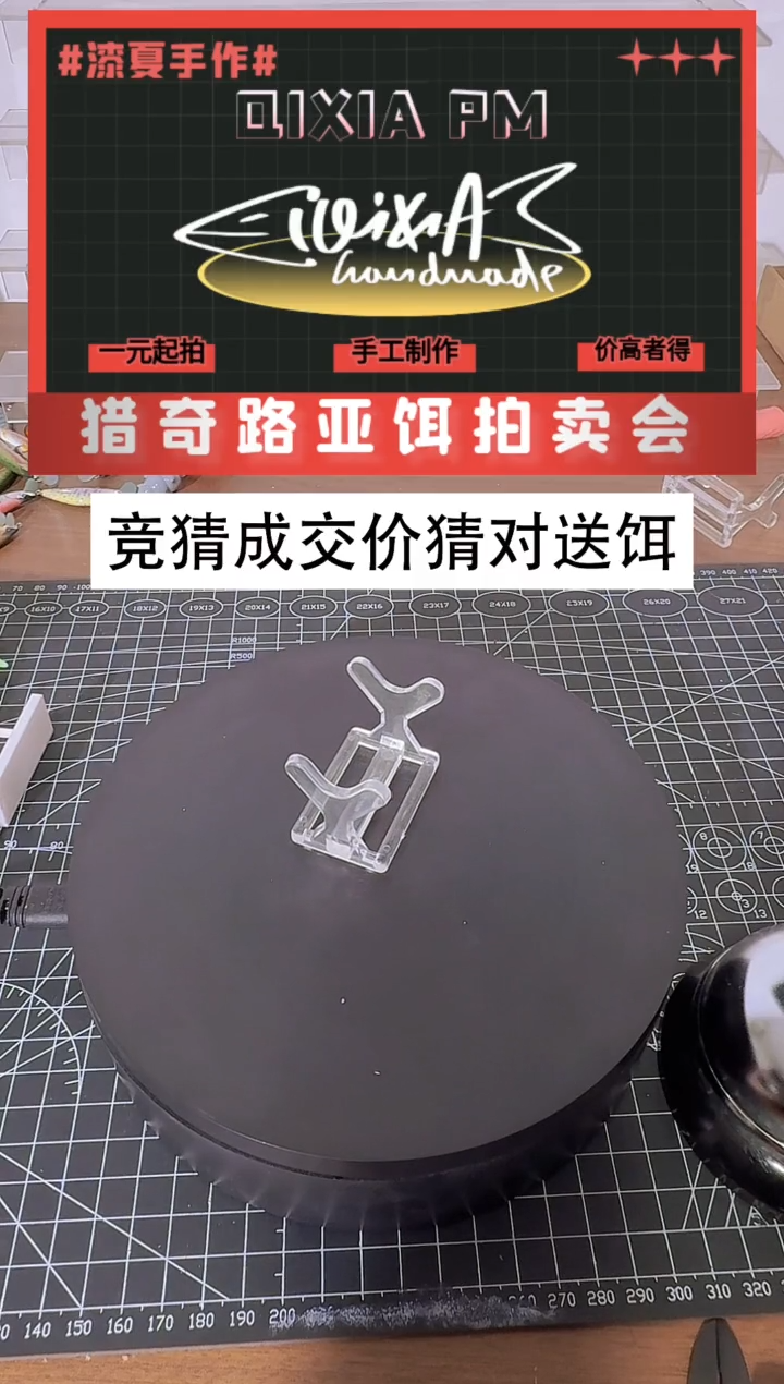D****卫随机饵       