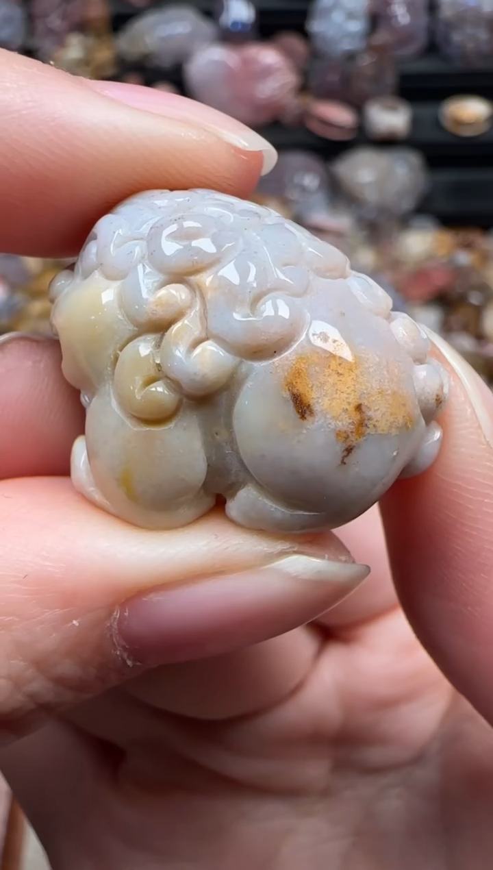 颈饰未镶嵌硅化珊瑚（珊瑚玉）302