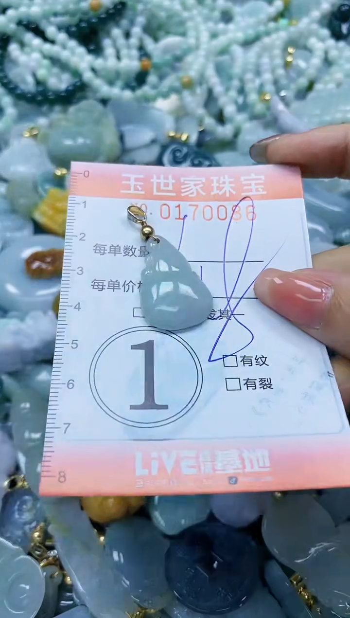 【闪购商品】翡翠颈饰未镶嵌闪购0170086