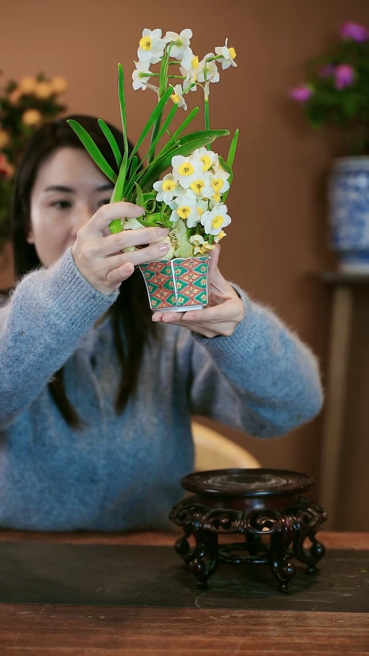 【闪购商品】雕刻水仙