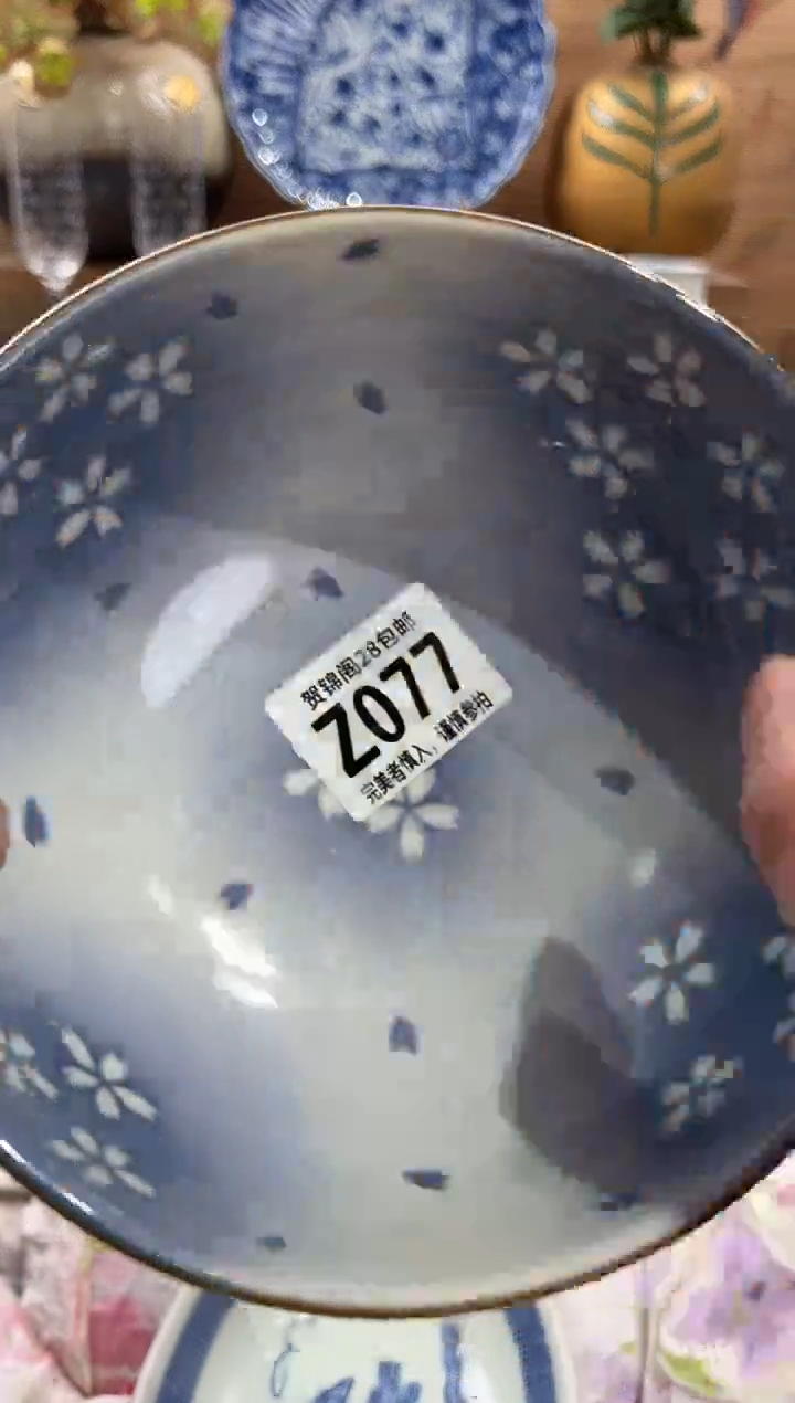 瓷片柳*.      Z077