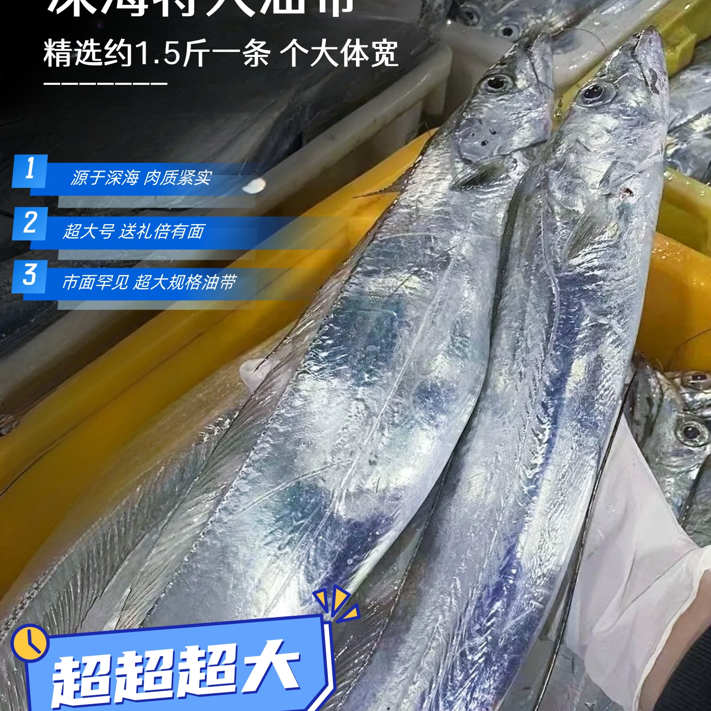 深海捕捞 五指宽大油带 单条1.5斤到手四条 约6—6.5斤30fmj