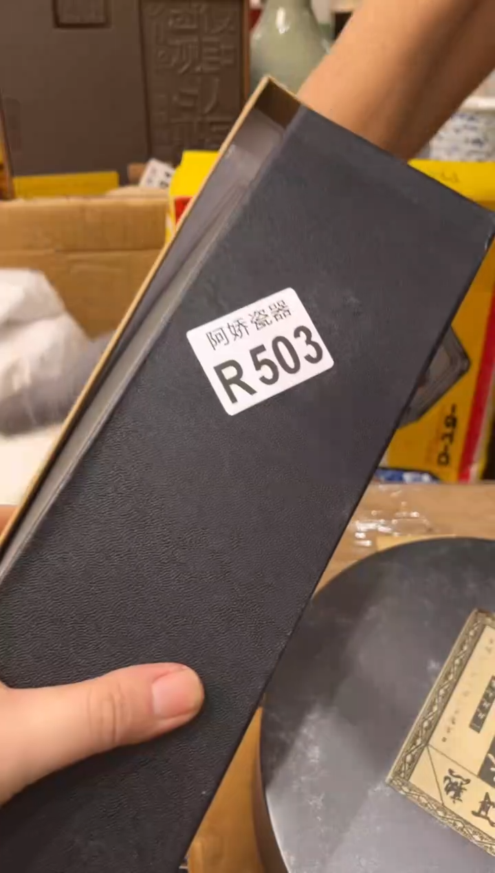 【闪购商品】瓷片503 海利（大宝小宝成长录）  