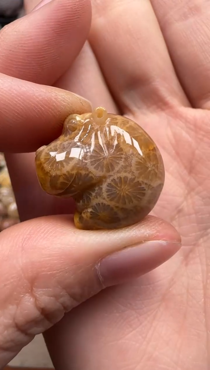 【闪购商品】硅化珊瑚（珊瑚玉）颈饰未镶嵌481