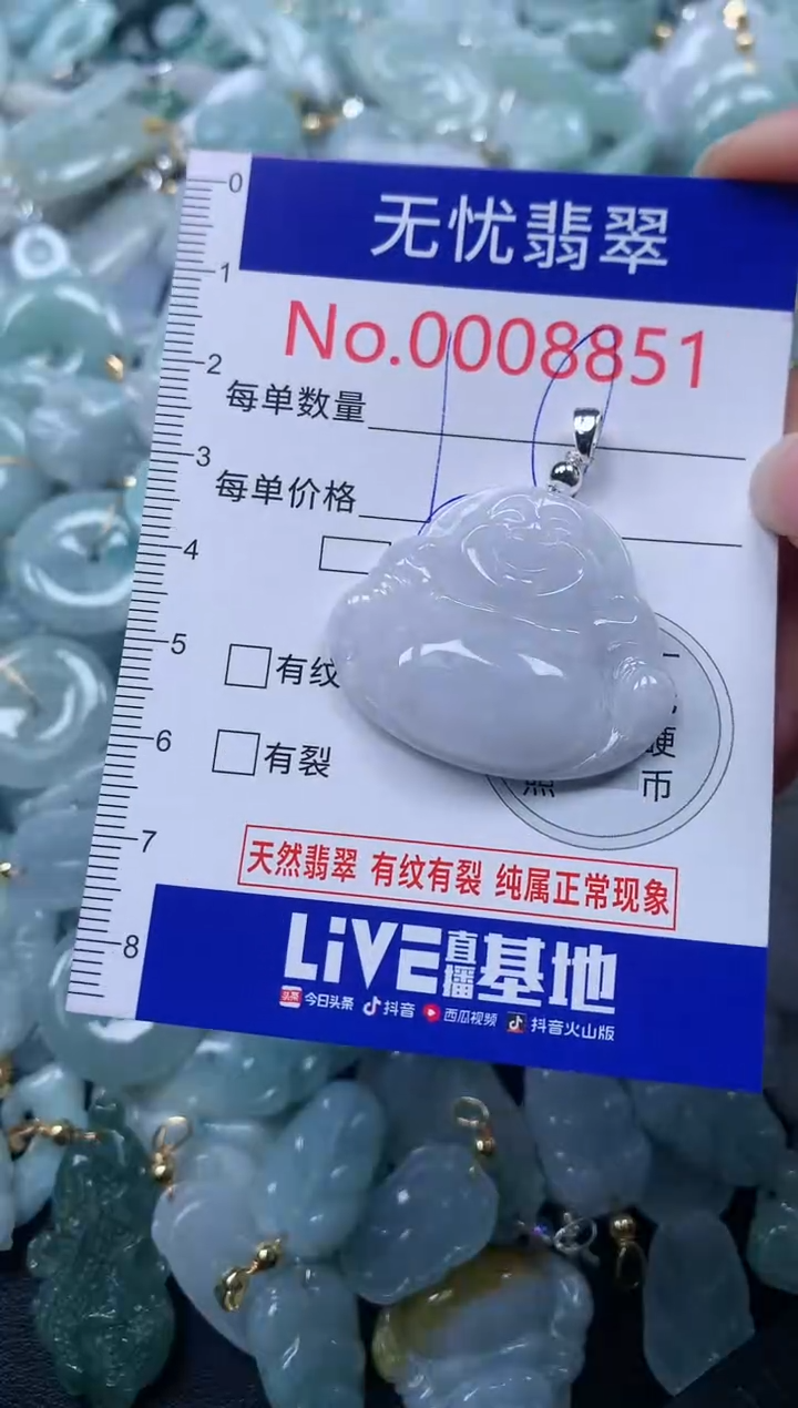 颈饰未镶嵌翡翠8851