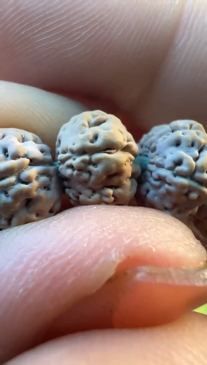 【闪购商品】金刚菩提手串560-1纯血勿利达老树王深度清理